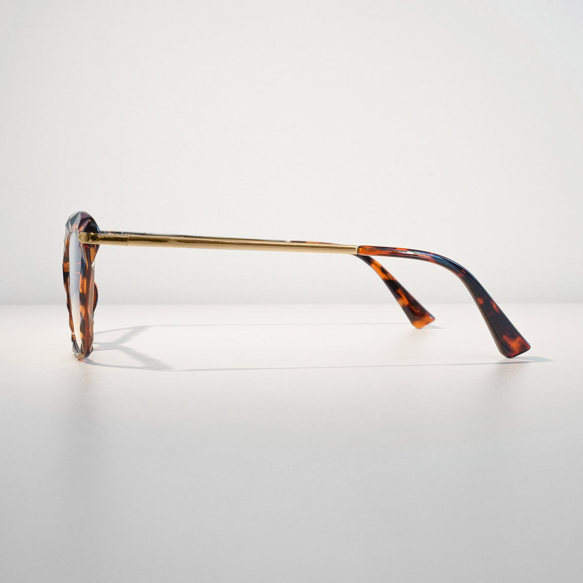 The Dinner Plan in Amber Tortoise